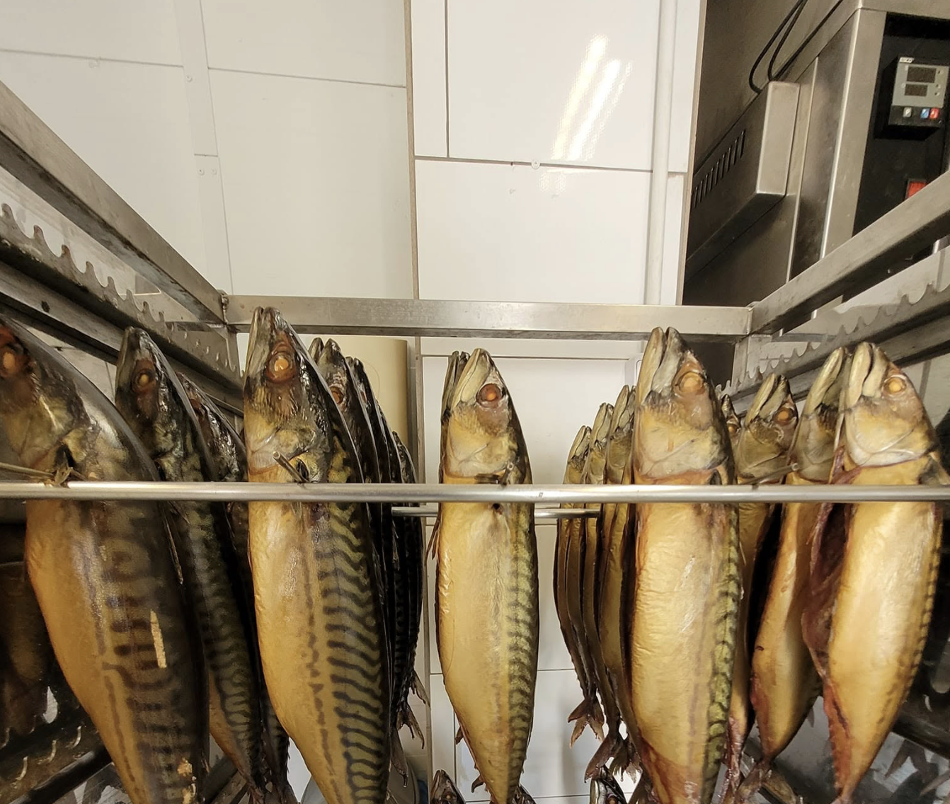 Wędzone makrele na wózku wędzarniczym w Turbot